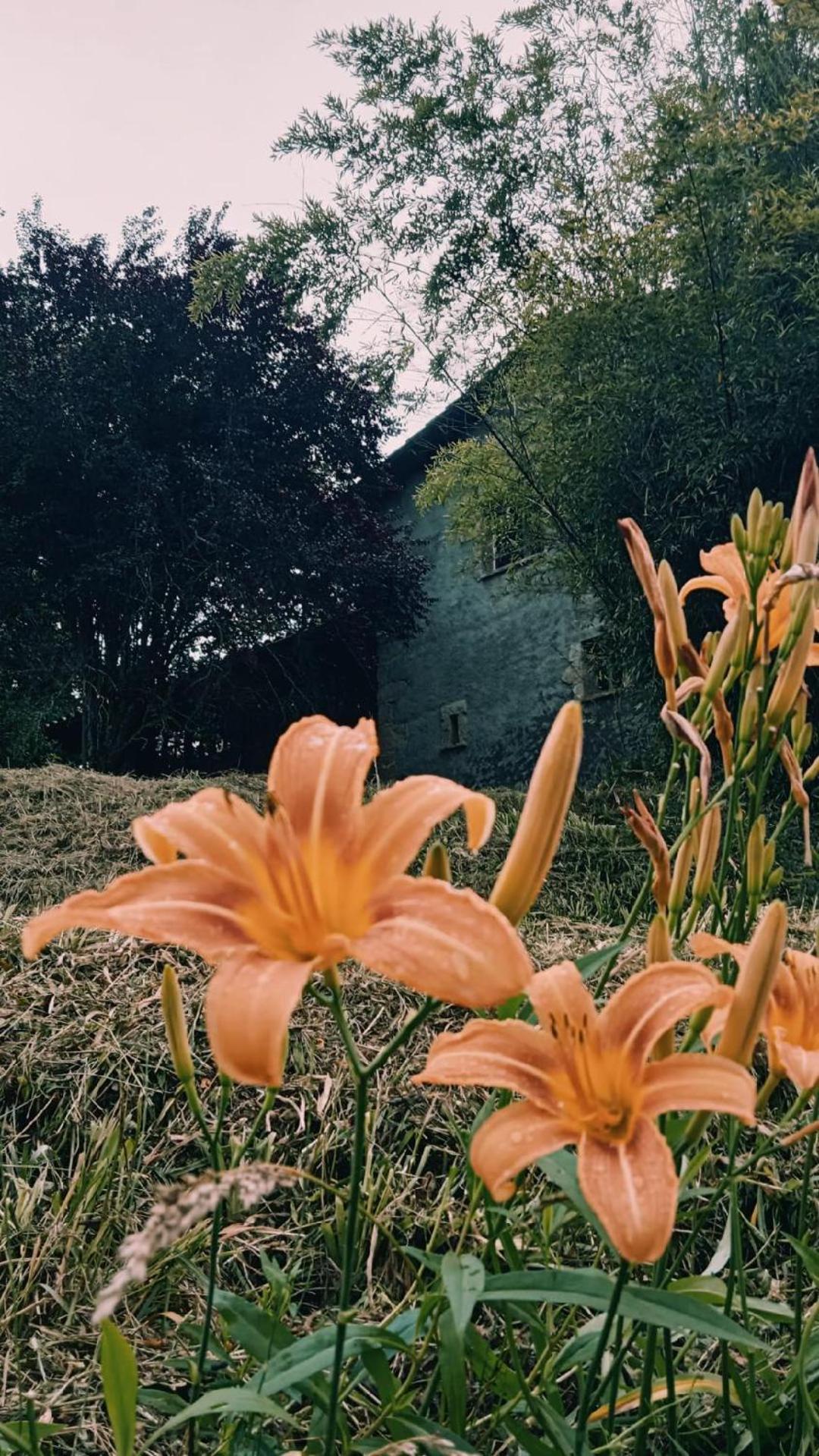 Casa Can Boix La Vall de Bianya Esterno foto