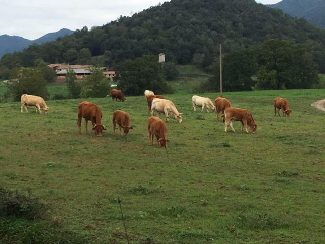 Casa Can Boix La Vall de Bianya Esterno foto