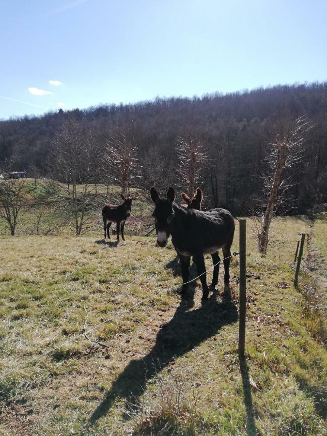 Casa Can Boix La Vall de Bianya Esterno foto