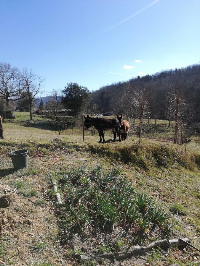 Casa Can Boix La Vall de Bianya Esterno foto