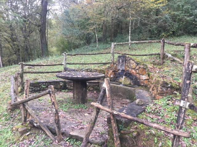 Casa Can Boix La Vall de Bianya Esterno foto